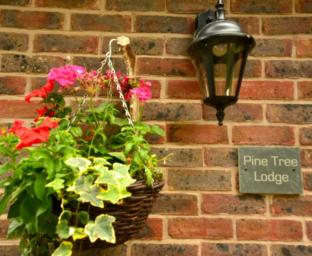 Pine Tree Lodge, Bridgnorth Kültér fotó